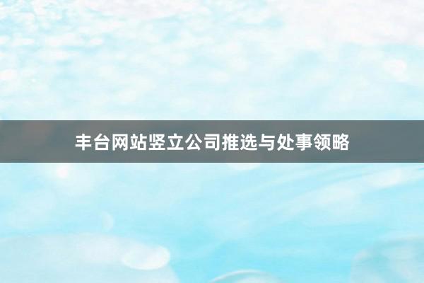 丰台网站竖立公司推选与处事领略